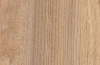 TD 37965 SU/SU Brest Natur