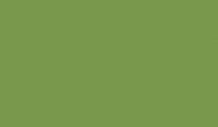 U626 9 Kiwi zelená